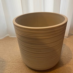 大きな鉢の画像