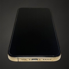 【箱付美品】iPhone 13 Pro 1TB グラファイト SIMフリー 大容量バッテリー良好81%の画像