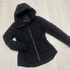 トミーヒルフィガーの画像