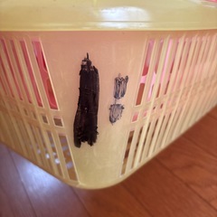 至急‼️カゴ６個の画像