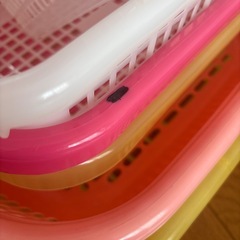 至急‼️カゴ６個の画像