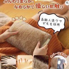 充電式湯たんぽの画像