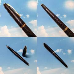 PILOT パイロット トカゲ革巻万年筆 18K F 純正コンバーター・紙箱付の画像