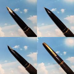 PILOT パイロット トカゲ革巻万年筆 18K F 純正コンバーター・紙箱付の画像