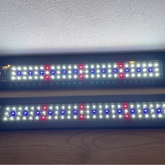水槽LEDライト　2個の画像