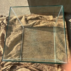 【15】30cmキューブ中古水槽の画像