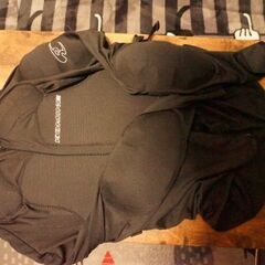 革ライダーズジャケットL、コミネインナープロテクターLの画像