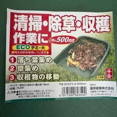 てみ大４枚セット（新品　未使用）の画像