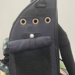 リュックタイプのキャリーバッグの画像