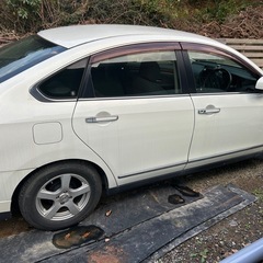 車検あり‼️日産　ブルーバードシルフィの画像