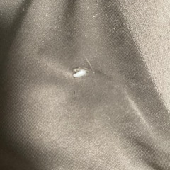 ソファーの画像