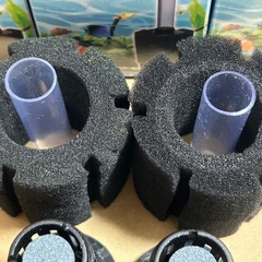 水槽／スポンジフィルター3個の画像