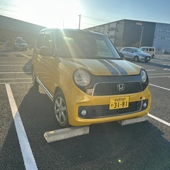 N ONE ﾌﾟﾚﾐｱﾑLﾊﾟｯｹｰｼﾞの画像