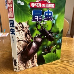 図鑑3冊と国語辞典1冊の画像