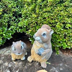 庭園オブジェ、置物、植物
の画像