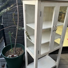 食器棚／小物収納棚の画像