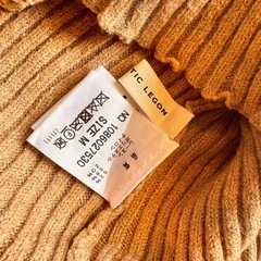 ⑩マジェスティックレゴン　おまとめの画像