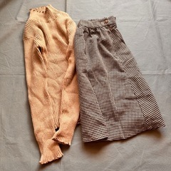 ⑩マジェスティックレゴン　おまとめの画像