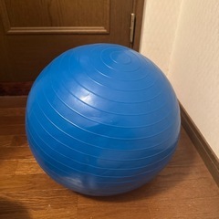 バランスボールの画像