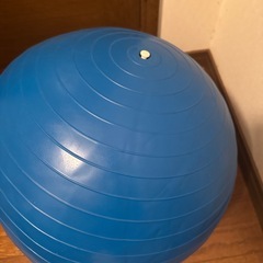 バランスボールの画像