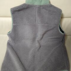 2025年最新パタゴニアレトロXベストの画像