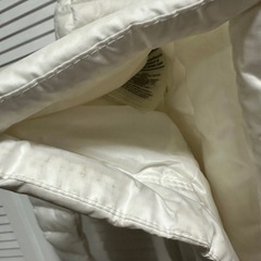 PATAGONIA パタゴニア ホワイトダウンジャケット フード付きの画像