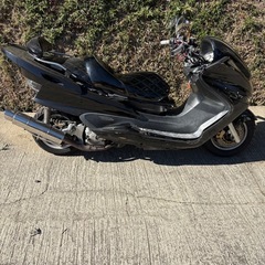 マジェスティの画像