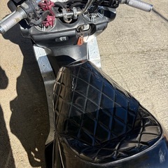 マジェスティの画像