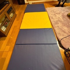 プレイマットの画像