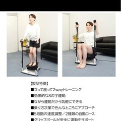 LIFE FIT トレーナー モーグル 2way Fit004 腹筋 振動マシンの画像