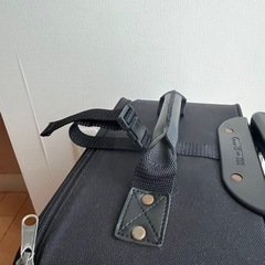 キャリーバッグの画像