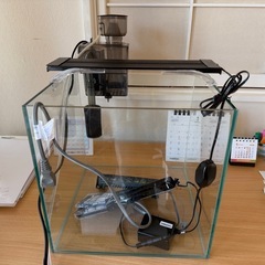 海水水槽セットの画像