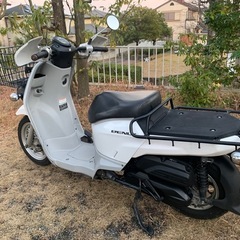 ホンダ　ベンリィプロ　50 aa05 原付きバイク　50ccの画像