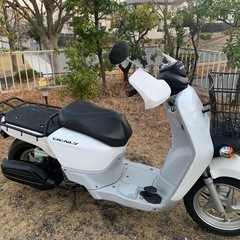 ホンダ　ベンリィプロ　50 aa05 原付きバイク　50ccの画像