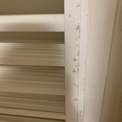 タンスのゼン　サークルの画像