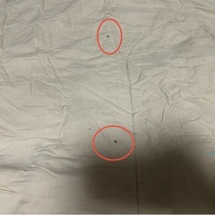 DOD 　わがやのシュラフ
の画像