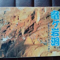 竜ヶ岩洞 神秘の地底大パノラマ 2億5千万年の時空への誘い　絵ハガキの画像