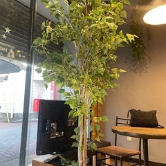 人工観葉植物　フェイクグリーンの画像