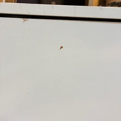 【12/21まで】キューブボックス　ホワイト　扉付き　棚　2個　34.5×34.5×29.5の画像