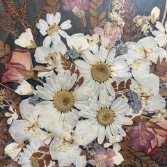 押し花額の画像