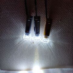 キーホルダー3点＆キーケース＆ミニLED懐中電灯＋追加きつぬのしっぽキーホルダーの画像
