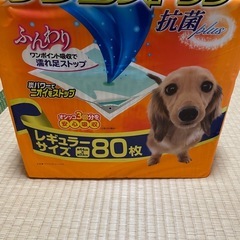ペット用トイレシーツ　60枚の画像