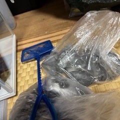 ２５キューブ水槽の画像