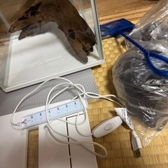 ２５キューブ水槽の画像