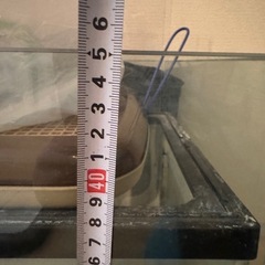 大型ガラス水槽 の画像