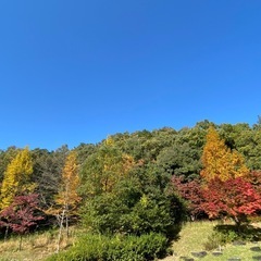 愛知岐阜40歳〜の平日ラウンド仲間募集⛳️