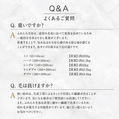 ふわとろ毛布 もこもこ ブランケット ひざ掛け 極暖 100×160 ホワイトの画像