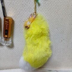 キーホルダー3点＆キーケース＆ミニLED懐中電灯＋追加きつぬのしっぽキーホルダーの画像