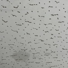 石膏ボード 90×90の画像