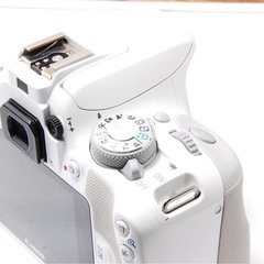 人気のホワイト！ Canon EOS kiss X7 スマホ転送 STMレンズの画像